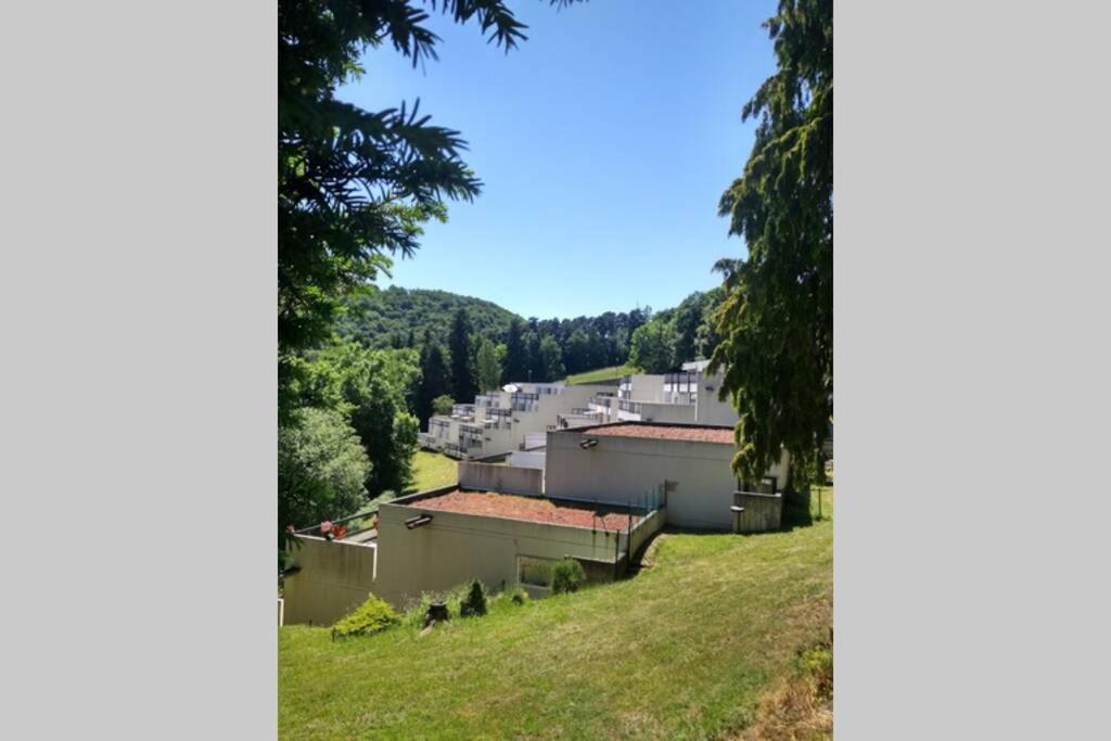 Studio Au Coeur Des Volcans D Auvergne - Murol Kültér fotó