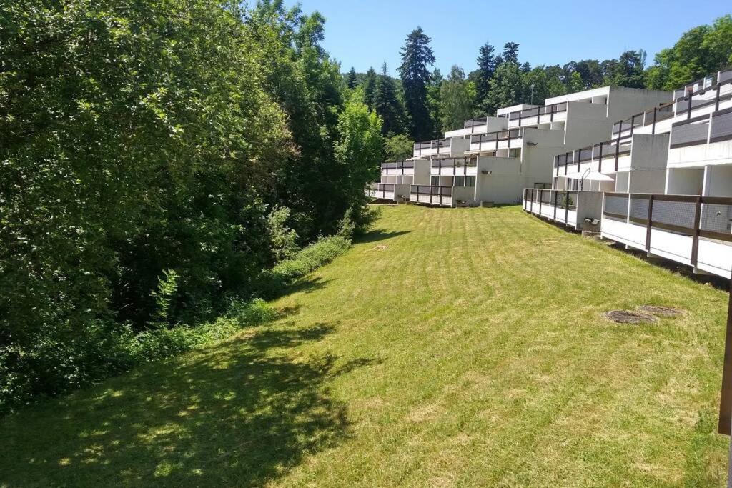 Studio Au Coeur Des Volcans D Auvergne - Murol Kültér fotó