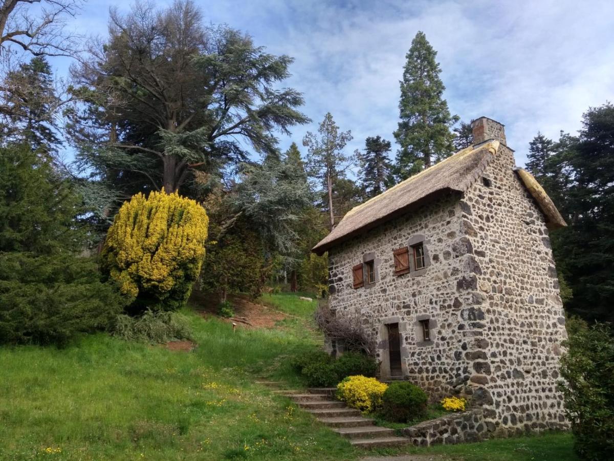 Studio Au Coeur Des Volcans D Auvergne - Murol Kültér fotó